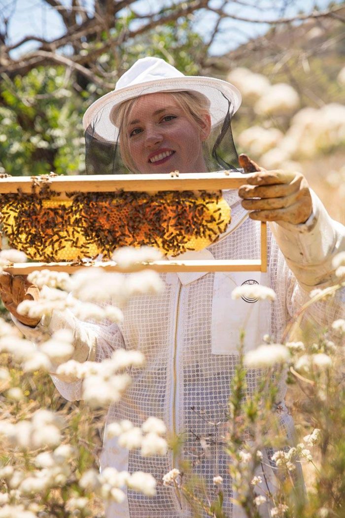 Hawkesbury — Amateur Beekeepers Association NSW